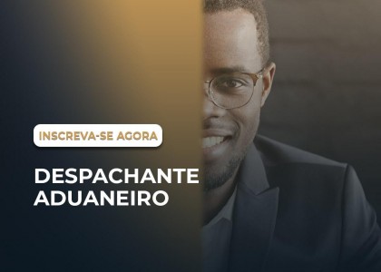DESPACHANTE ADUANEIRO online
